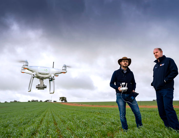 drone operator in farm paddock